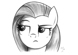 Size: 1527x1080 | Tagged: safe, artist:flutterstormreturns, character:fluttershy, bust, female, fluttershy is not amused, grayscale, looking away, monochrome, pencil drawing, portrait, raised eyebrow, simple background, skeptical, solo, traditional art, white background