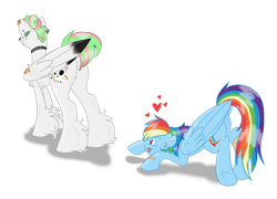 Size: 2500x1800 | Tagged: safe, artist:legally-psychotic, character:rainbow dash, oc, oc:stained glass, species:pegasus, species:pony, bandage, bandaid, canon x oc, choker, ear piercing, eyes on the prize, female, heart, mare, nose piercing, nose ring, piercing, plot, shipping, simple background, tongue out, transparent background, unshorn fetlocks, wing piercing