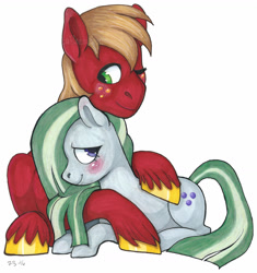 Size: 1600x1702 | Tagged: safe, artist:whisperseas, character:big mcintosh, character:marble pie, species:earth pony, species:pony, ship:marblemac, blushing, cuddling, male, one eye closed, shipping, simple background, stallion, straight, traditional art, unshorn fetlocks, white background
