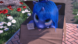 Size: 2560x1440 | Tagged: safe, artist:thelunagames, character:princess luna, species:pony, 3d, blep, box, cinema 4d, cute, doorstep, female, filly, flower, looking at you, lunabetes, note, pony in a box, russian, solo, tongue out, translated in the comments, woona, younger
