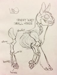 Size: 978x1280 | Tagged: safe, artist:jayrockin, species:pony, anatomy, anatomy study, bone, female, finger hooves, mare, skeleton, tiny sapient ungulates, x-ray, x-ray picture
