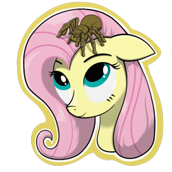 Size: 1200x1200 | Tagged: dead source, safe, artist:hc0, character:fluttershy, species:pony, bust, female, portrait, simple background, solo, spider, tarantula, transparent background
