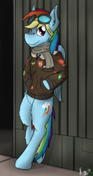 Size: 2500x4715 | Tagged: safe, artist:kamithepony, character:rainbow dash, species:pegasus, species:pony, bomber jacket, clothing, female, goggles, hangar, scarf, semi-anthro, signature, smiling, solo, wonderbolts