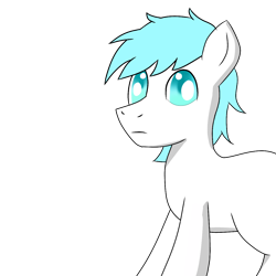 Size: 1200x1200 | Tagged: safe, artist:cappie, oc, oc only, oc:diamond frost, species:pony, bust, male, portrait, simple background, solo, stallion