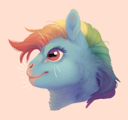 Size: 797x752 | Tagged: safe, artist:jayrockin, character:rainbow dash, species:pony, bust, female, mare, solo, tiny sapient ungulates, whiskers