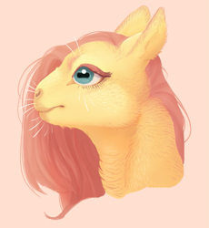 Size: 769x837 | Tagged: safe, artist:jayrockin, character:fluttershy, species:pony, bust, female, mare, solo, tiny sapient ungulates, whiskers