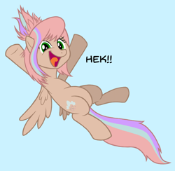 Size: 814x794 | Tagged: safe, artist:dosey--doe, oc, oc only, oc:sweet skies, species:pegasus, species:pony, blue background, heck, simple background, solo