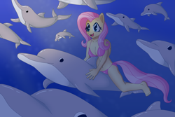 Size: 5243x3495 | Tagged: safe, artist:sergeant16bit, character:fluttershy, species:anthro, species:pegasus, species:pony, animal, belly button, bikini, breasts, clothing, dolphin, female, ocean, riding, solo, swimsuit, underwater, watershy