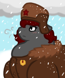 Size: 290x346 | Tagged: safe, artist:queenfrau, oc, oc only, oc:queen frau, blizzard, chubby, clothing, coat, fat, hat, snow, snowfall, solo, soviet, soviet union, ushanka