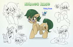 Size: 1700x1100 | Tagged: safe, artist:willdabeard, oc, oc:flurry, oc:mutt, oc:nutmeg, oc:nutmeg rose, species:breezies, species:diamond dog, species:earth pony, species:pony, breezie oc, comic, confused, crying, frightened, grin, heart, micro, nervous, nervous grin, scared, smiling, startled, tears of fear, tears of joy