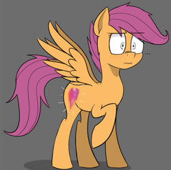 Size: 1411x1408 | Tagged: safe, alternate version, artist:pinkberry, character:scootaloo, species:pegasus, species:pony, ..., blushing, cutie mark, fake cutie mark, female, filly, freckles, gray background, raised hoof, scrunchy face, simple background, smudge, solo, surprised, the cmc's cutie marks, wings