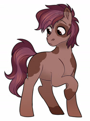 Size: 1280x1707 | Tagged: safe, artist:whisperseas, oc, oc only, parent:pipsqueak, parent:scootaloo, parents:scootasqueak, species:earth pony, species:pony, blank flank, coat markings, male, offspring, raised hoof, simple background, solo, stallion, watermark, white background