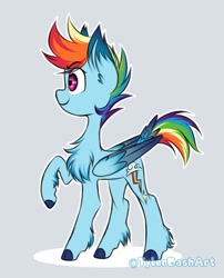 Size: 707x876 | Tagged: safe, artist:tylerdashart, character:rainbow dash, species:pegasus, species:pony, chest fluff, colored hooves, colored wings, ear fluff, female, mare, raised hoof, raised tail, redesign, simple background, smiling, solo, tail, unshorn fetlocks, white background