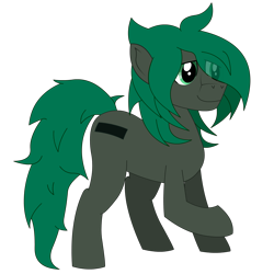 Size: 1600x1600 | Tagged: safe, artist:minus, derpibooru original, oc, oc only, oc:minus, species:earth pony, species:pony, 2019 community collab, derpibooru community collaboration, cutie mark, eye clipping through hair, green eyes, hair over one eye, lidded eyes, male, shy, side view, simple background, solo, standing, transparent background, vector