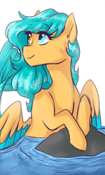 Size: 400x668 | Tagged: safe, artist:h0mi3, oc, oc only, species:pegasus, species:pony, female, heterochromia, mare, simple background, smiling, solo, water, white background