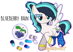 Size: 1059x755 | Tagged: safe, artist:jxst-roch, oc, oc only, oc:blueberry rain, species:pegasus, species:pony, bracelet, clothing, ear piercing, earring, eyeshadow, female, flying, jewelry, looking at something, makeup, mare, multicolored hair, piercing, raised hoof, reference sheet, signature, simple background, smiling, smirk, socks, solo, spread wings, transparent background, two toned wings, wings