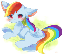 Size: 800x700 | Tagged: safe, artist:tsukuda, character:rainbow dash, blushing, cat, catpony, chest fluff, cute, dashabetes, ear fluff, female, leg fluff, looking at you, original species, pixiv, rainbow cat, solo