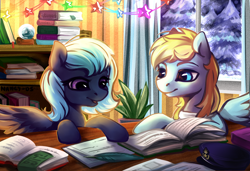 Size: 2100x1437 | Tagged: safe, artist:nancy-05, oc, oc only, species:pegasus, species:pony, book, duo, female, mare, snow, winter