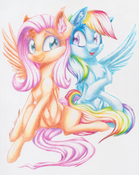 Size: 2362x2980 | Tagged: safe, artist:galinn-arts, character:fluttershy, character:rainbow dash, species:pegasus, species:pony, belly button, colorful, duo, ear fluff, female, happy, looking at each other, mare, one wing out, open mouth, pencil drawing, simple background, sitting, smiling, spread legs, spreading, teeth, traditional art, white background, wings