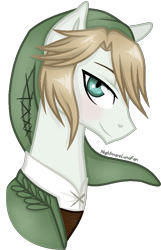 Size: 621x965 | Tagged: safe, artist:nightmarelunafan, species:pony, crossover, link, ponified, simple background, the legend of zelda, the legend of zelda: twilight princess, transparent background