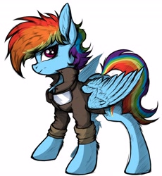 Size: 3768x4096 | Tagged: safe, artist:tatykin, character:rainbow dash, species:pegasus, species:pony, clothing, ear fluff, female, jacket, simple background, solo, white background