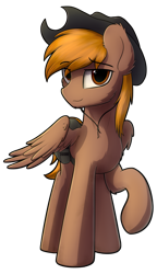 Size: 996x1728 | Tagged: safe, artist:av-4, artist:avastin4, oc, oc only, oc:calamity, species:pegasus, species:pony, fallout equestria, clothing, cowboy hat, dashite, fanfic, fanfic art, hat, hooves, looking at you, male, raised hoof, saddle bag, simple background, smiling, solo, stallion, transparent background, wings
