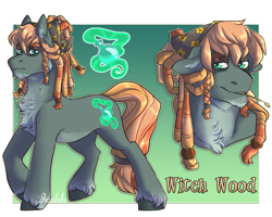 Size: 5000x4000 | Tagged: safe, artist:jeshh, oc, oc:witch wood, parent:applejack, parent:tree hugger, parents:treejack, species:earth pony, species:pony, magical lesbian spawn, male, offspring, solo, stallion, straw in mouth
