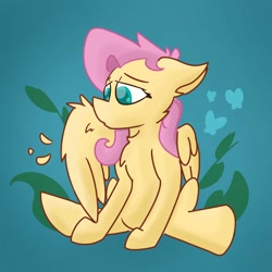 Size: 894x894 | Tagged: safe, artist:antimationyt, character:fluttershy, species:pegasus, species:pony, chest fluff, female, grooming, mare, one wing out, partial background, preening, sitting, solo, three quarter view, wings