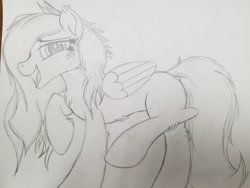 Size: 2016x1512 | Tagged: safe, artist:straighttothepointstudio, oc, oc only, species:pegasus, species:pony, black and white, cute, fluffy, grayscale, happy, long hair, long mane, long tail, monochrome, pegasus oc, solo, traditional art