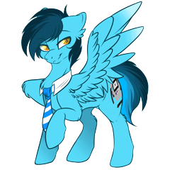 Size: 2000x2000 | Tagged: safe, artist:red_moonwolf, oc, oc only, oc:mrcelroy, species:pegasus, species:pony, 2020 community collab, derpibooru community collaboration, male, simple background, solo, stallion, transparent background