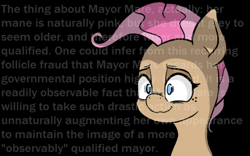 Size: 1364x852 | Tagged: safe, artist:pinkberry, character:mayor mare, colored, colored pupils, dramatic lighting, drawpile, eye twitch, freckles, joke, monochrome, pink mane, simple shading, text, wall of text