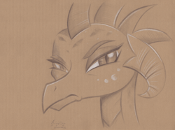 Size: 4400x3267 | Tagged: safe, artist:flutterstormreturns, character:princess ember, species:dragon, absurd resolution, bust, dragoness, female, frown, grumpy, monochrome, pencil drawing, portrait, signature, solo, traditional art