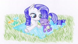 Size: 2510x1412 | Tagged: safe, artist:michiito, character:rarity, character:spike, species:dragon, species:pony, species:unicorn, ship:sparity, colored pencil drawing, cute, female, grass, male, raribetes, shipping, spikabetes, straight, traditional art