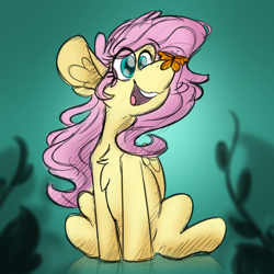 Size: 2500x2500 | Tagged: safe, artist:antimationyt, character:fluttershy, species:pegasus, species:pony, butterfly, butterfly on nose, chest fluff, cross-eyed, ear fluff, female, folded wings, insect on nose, looking at something, mare, open mouth, sitting, smiling, solo, wings
