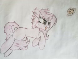 Size: 2016x1512 | Tagged: safe, artist:straighttothepointstudio, edit, oc, oc only, oc:fluorescia harvest, species:pony, species:unicorn, adorable face, blank flank, colored, cookie, cute, female, filly, fluffy, food, freckles, happy, long hair, long mane, long tail, solo, traditional art
