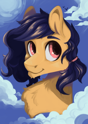 Size: 1750x2450 | Tagged: safe, artist:slimeprnicess, oc, oc only, oc:waypoint, species:pegasus, species:pony, cloud, cloudy, solo