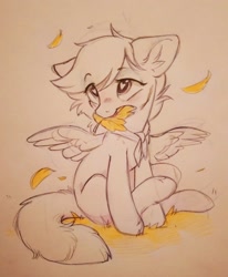 Size: 1690x2048 | Tagged: safe, artist:breakdream, oc, oc only, oc:lemon squeezy, species:pegasus, species:pony, leaves, solo, traditional art