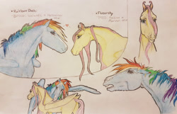 Size: 1446x934 | Tagged: safe, artist:themoonraven, character:fluttershy, character:rainbow dash, species:pegasus, species:pony, ship:flutterdash, 2017, duo, duo female, female, grooming, hoers, horses doing horse things, lesbian, pencil drawing, realistic anatomy, shipping, simple background, spread wings, text, traditional art, wings