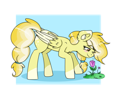 Size: 3826x3137 | Tagged: safe, artist:nightydream, oc, oc only, oc:cloudy lemonade, species:pegasus, species:pony, g4, female, flower, mare, simple background, solo, white background