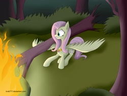 Size: 2560x1920 | Tagged: safe, artist:brab777, character:fluttershy, breaking twilight, element of harmony, element of kindness, elements of harmony, everfree, everfree forest, fanfic, female, solo