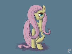 Size: 1024x768 | Tagged: safe, artist:replacer808, character:fluttershy, female, solo