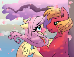 Size: 3380x2600 | Tagged: safe, artist:dreamscapevalley, character:big mcintosh, character:fluttershy, species:earth pony, species:pony, ship:fluttermac, blushing, cherry blossoms, cute, flower, flower blossom, male, petals, shipping, shyabetes, stallion, straight, windswept mane