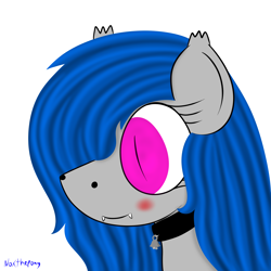 Size: 2500x2500 | Tagged: safe, artist:asknoxthepony, oc, oc only, oc:dream chaser, collar, female, portrait, solo