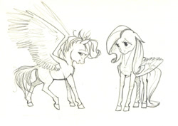 Size: 1024x727 | Tagged: safe, artist:skyaircobra, character:fluttershy, character:rainbow dash, blank flank, duo, filly, filly fluttershy, filly rainbow dash, monochrome, pencil drawing, simple background, sketch, spread wings, standing, traditional art, wings, younger