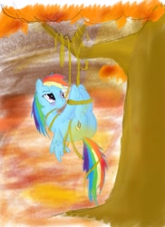 Size: 1521x2089 | Tagged: safe, artist:peperoger, character:rainbow dash, rope, tied up