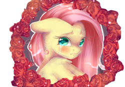 Size: 3000x2100 | Tagged: safe, artist:xkittyblue, character:fluttershy, bust, colored pupils, crying, female, floppy ears, flower, looking at you, portrait, rose, solo, turning