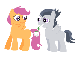 Size: 2048x1536 | Tagged: safe, artist:schwarzekatze4, character:rumble, character:scootaloo, species:pegasus, species:pony, ship:rumbloo, colt, female, filly, flower, flower in mouth, male, mouth hold, shipping, simple background, straight, transparent background