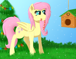 Size: 4500x3500 | Tagged: safe, artist:fia94, character:fluttershy, species:pony, absurd resolution, advent calendar, bird house, candy, candy cane, christmas, christmas tree, female, food, mouth hold, solo, tree