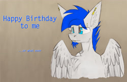 Size: 4344x2799 | Tagged: safe, artist:php122, oc, oc only, oc:wingedthoughts, species:hippogriff, birbday, birthday, piercing, solo, wings