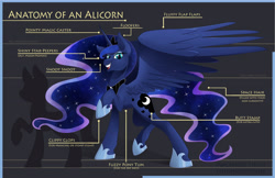 Size: 5100x3300 | Tagged: safe, artist:ghostlymuse, character:princess luna, species:alicorn, species:pony, anatomy, anatomy guide, chart, ethereal mane, female, galaxy mane, mare, raised hoof, snoot, solo, spread wings, wings
